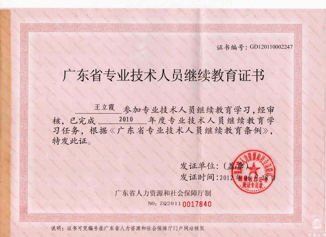 专业人员技术证书