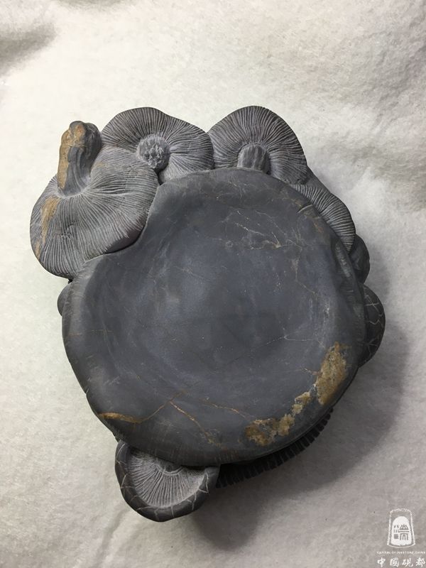 8cc872ffe5c7e455ecd351d35207b975a4703d0e.jpg 8cc872ffe5c7e455ecd351d35207b975a4703d0e.jpg